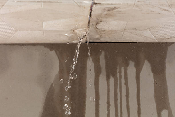Professional Burst Pipe Cleanup technician working in Clermont, FL